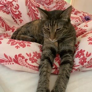 Meet your Posher, Crystal